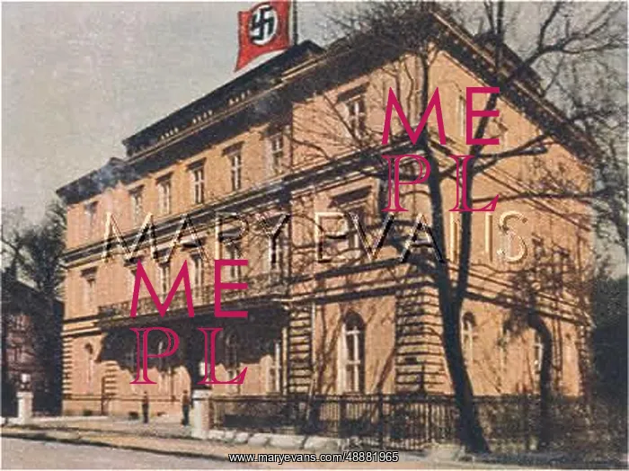 : DAS BRAUNE HAUS : DAS BRAUNE HAUS