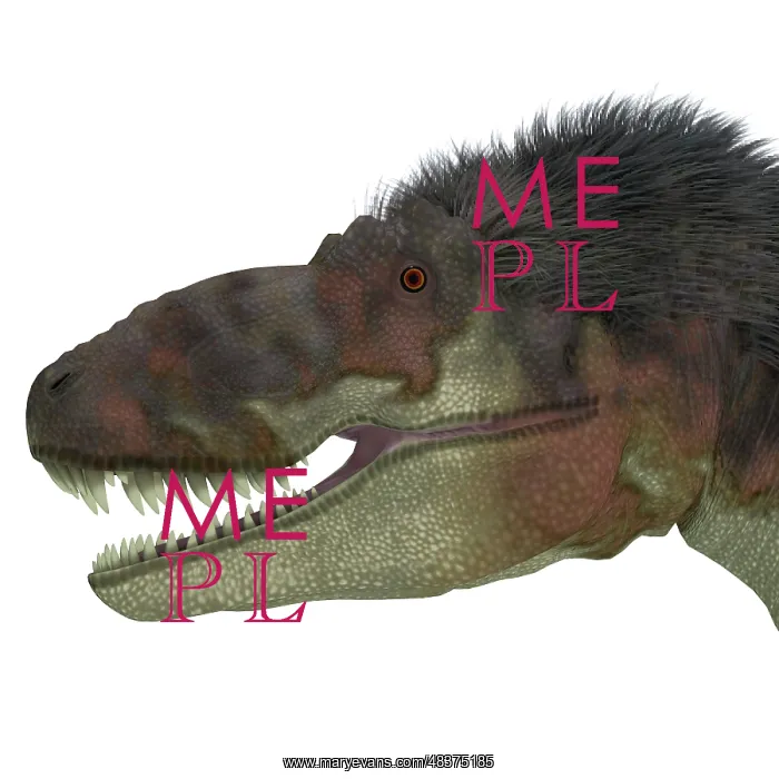 : Daspletosaurus dinosaur head : Daspletosaurus dinosaur head