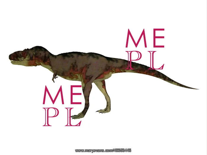 : Daspletosaurus dinosaur, side view on white background : Daspletosaurus dinosaur, side view on white background