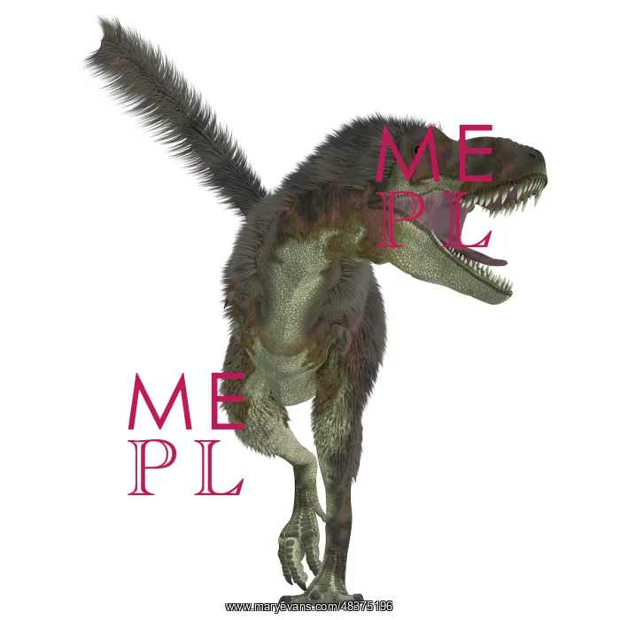 : Daspletosaurus dinosaur, white background : Daspletosaurus dinosaur, white background