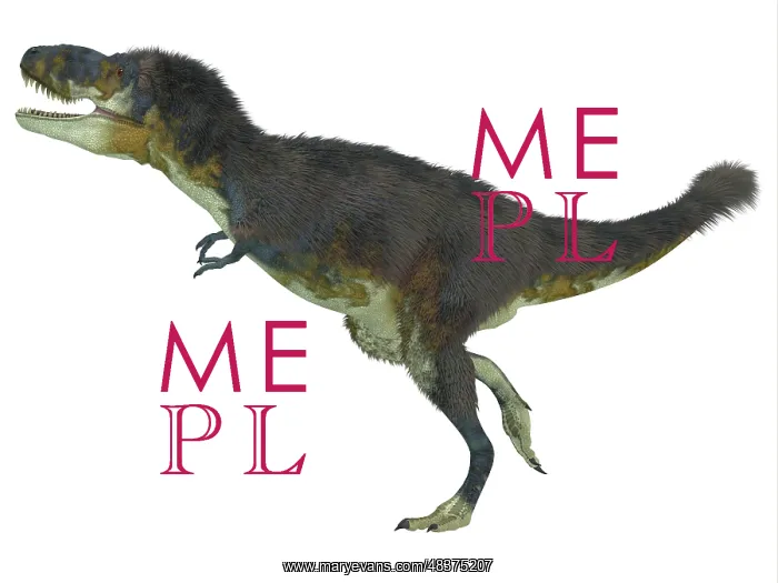 : Daspletosaurus dinosaur, white background : Daspletosaurus dinosaur, white background