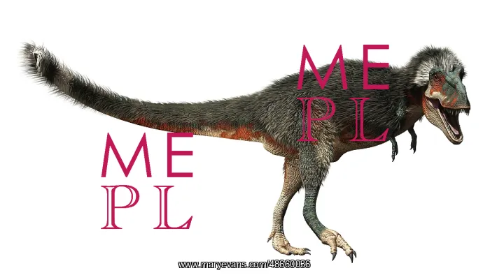 : Daspletosaurus dinosaur on white background : Daspletosaurus dinosaur on white background