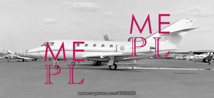 : Dassault Falcon 20C N810F : Dassault Falcon 20C N810F