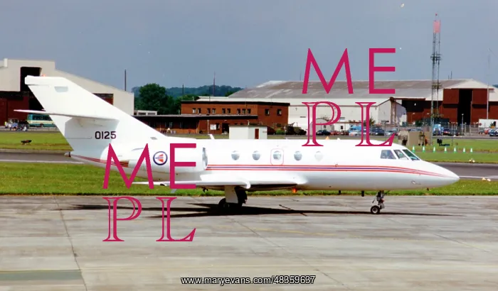 : Dassault Falcon 20ECM 0125 : Dassault Falcon 20ECM 0125