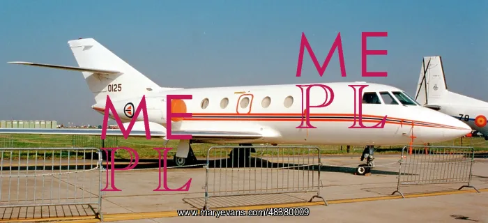 : Dassault Falcon 20ECM 0125 : Dassault Falcon 20ECM 0125