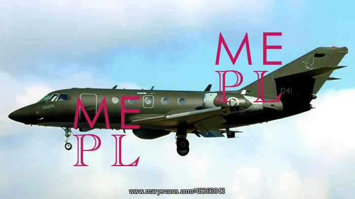: Dassault Falcon 20ECM 041 : Dassault Falcon 20ECM 041