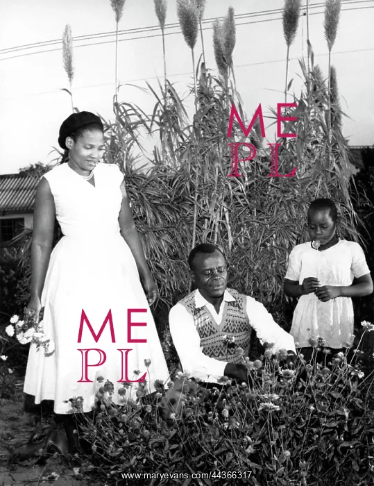 : NO DATE - King Masinga - Masinga likes his gardening : NO DATE - King Masinga - Masinga likes his gardening