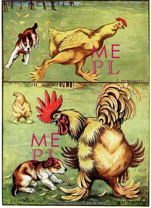 : The Daughter, Retribution Puppy chasing Chicken : The Daughter, Retribution Puppy chasing Chicken