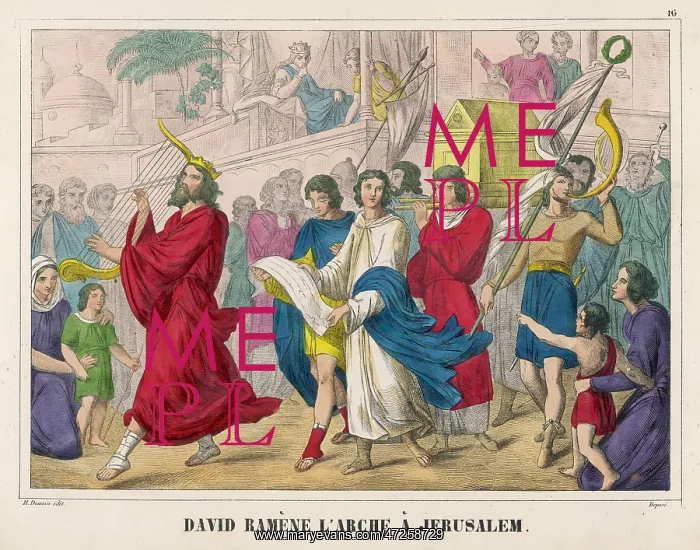 : DAVID AND THE ARK : DAVID AND THE ARK