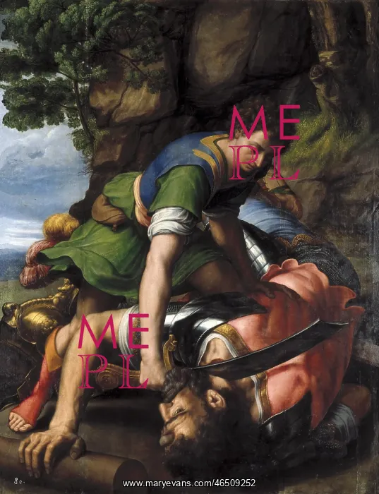 : David beheading Goliath : David beheading Goliath