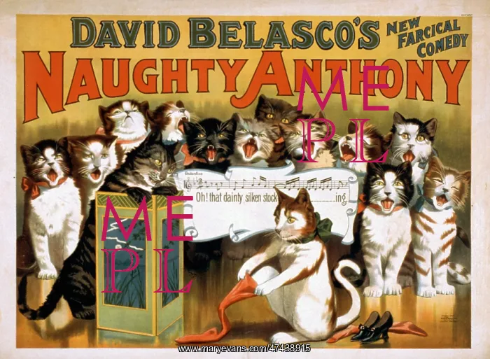 : David Belasco's new farcical comedy, Naughty Anthony : David Belasco's new farcical comedy, Naughty Anthony