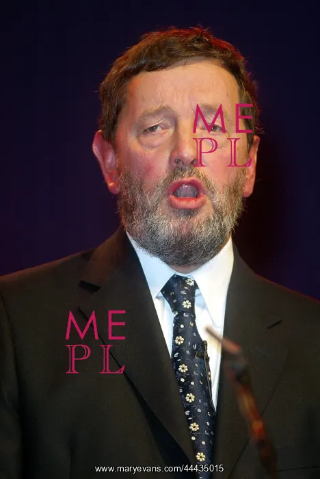 : David Blunkett MP : David Blunkett MP