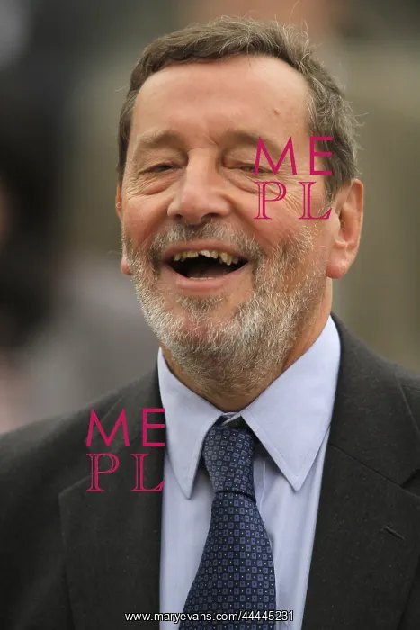 : David Blunkett MP : David Blunkett MP