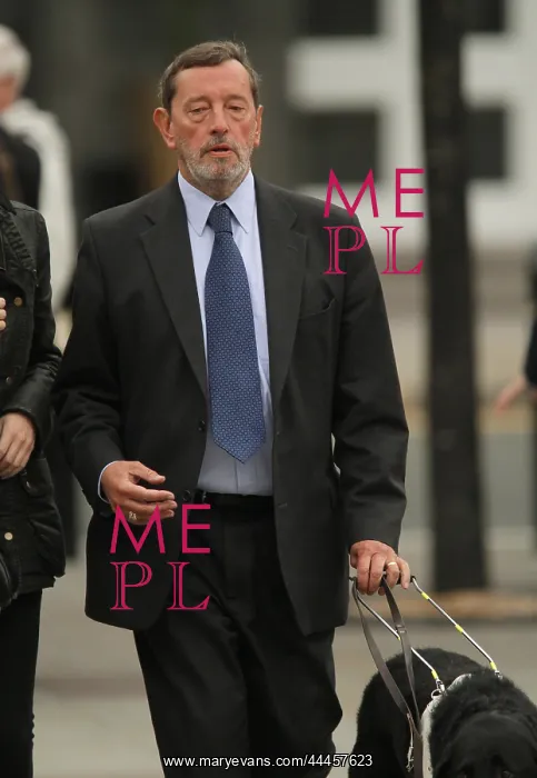 : David Blunkett MP : David Blunkett MP
