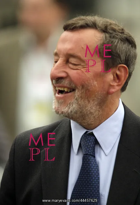 : David Blunkett MP : David Blunkett MP
