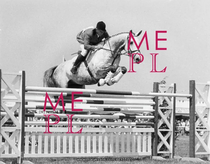  : David Broom in show jumping event, Royal Cornwall Show