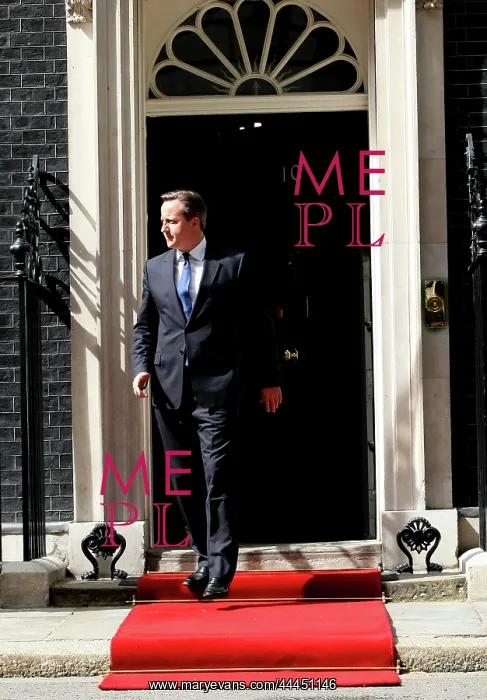: David Cameron : David Cameron