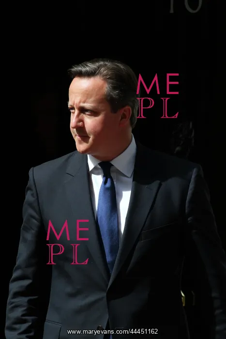 : David Cameron : David Cameron