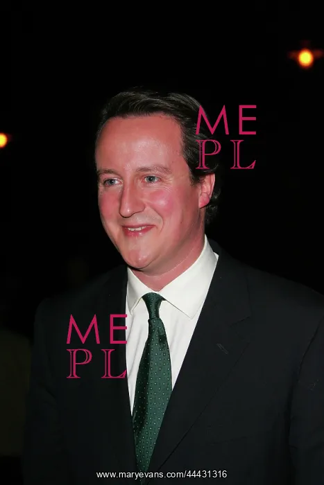 : David Cameron MP : David Cameron MP