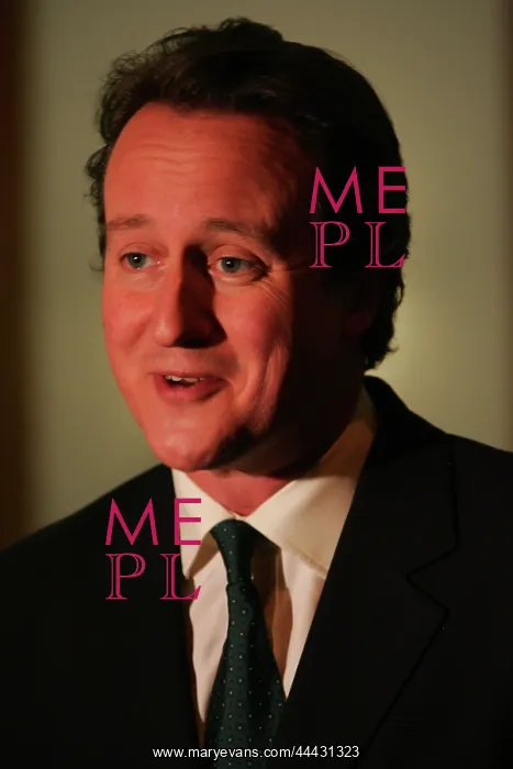 : David Cameron MP : David Cameron MP