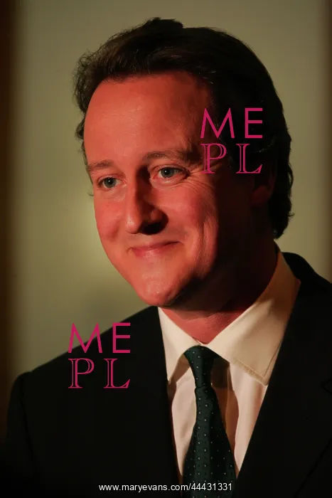 : David Cameron MP : David Cameron MP