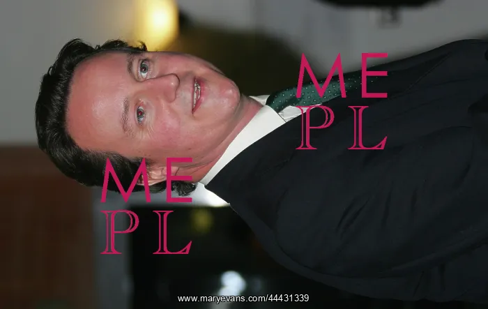 : David Cameron MP : David Cameron MP