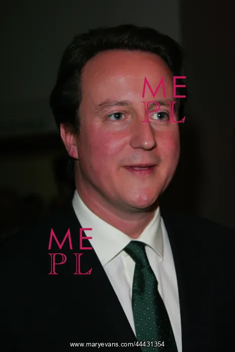 : David Cameron MP : David Cameron MP