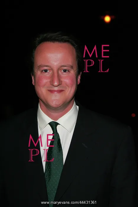  : David Cameron MP