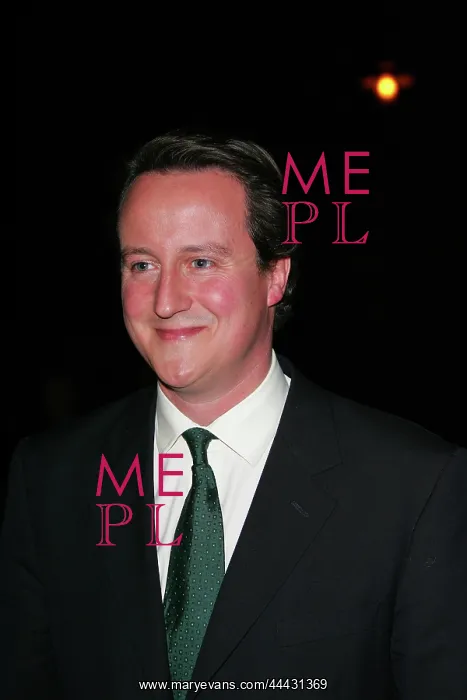 : David Cameron MP : David Cameron MP