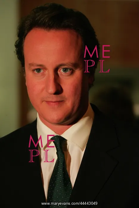 : David Cameron MP : David Cameron MP