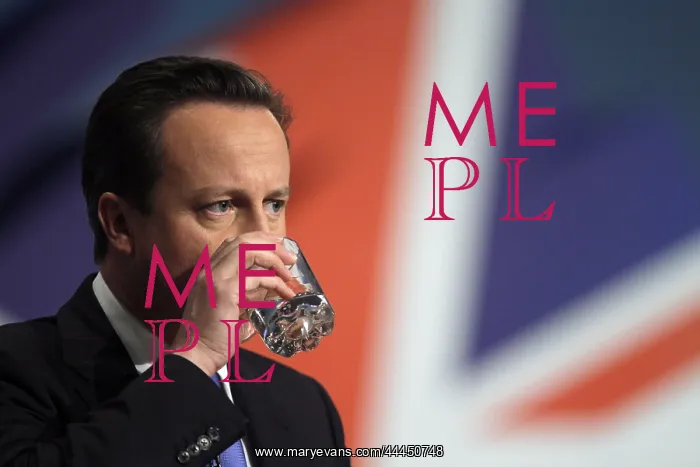: David Cameron MP : David Cameron MP