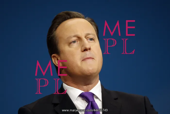 : David Cameron MP : David Cameron MP