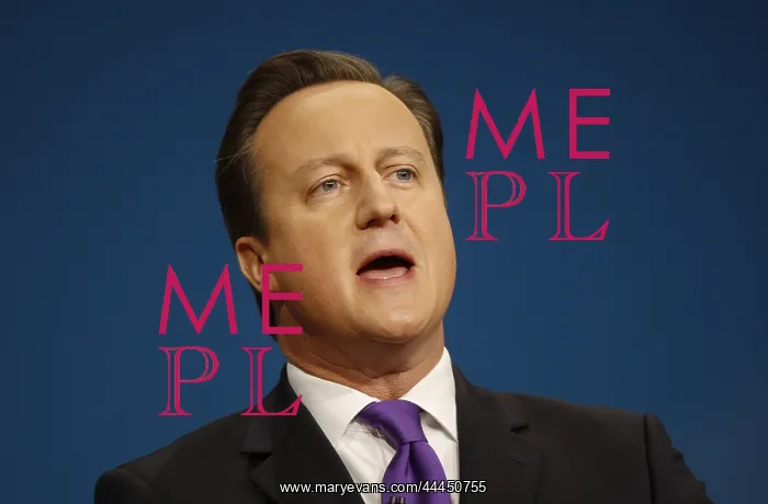  : David Cameron MP