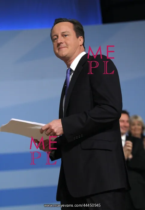 : David Cameron MP : David Cameron MP