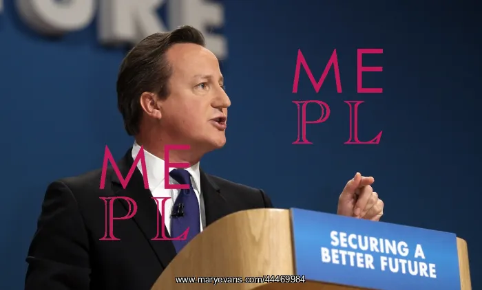 : David Cameron MP : David Cameron MP