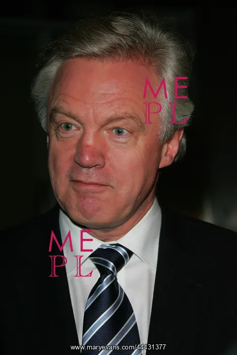 : David Davis MP : David Davis MP