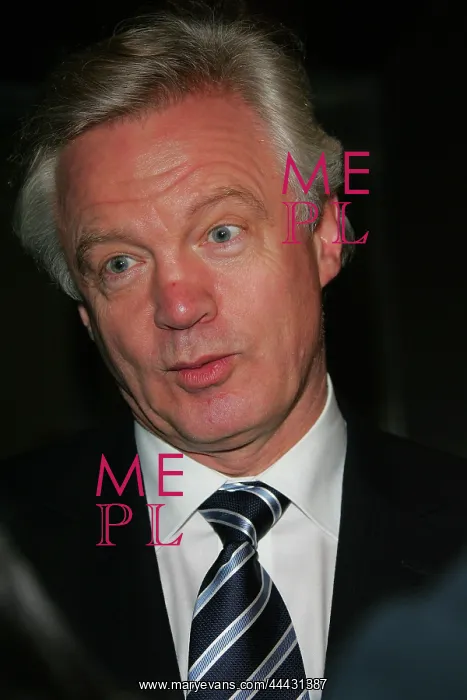 : David Davis MP : David Davis MP