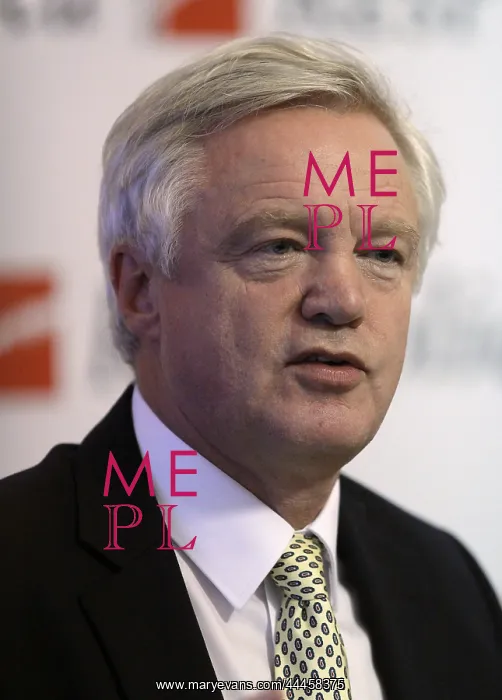 : David Davis MP : David Davis MP