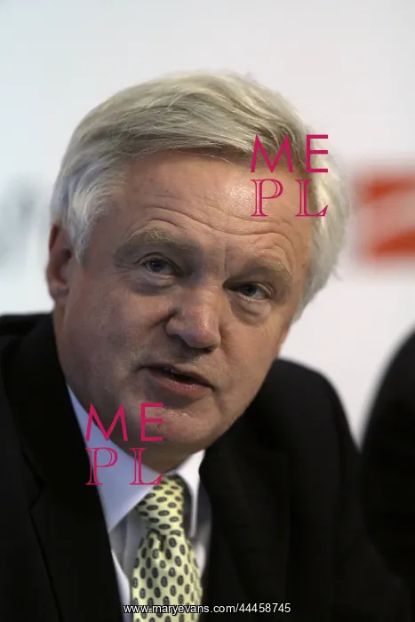 : David Davis MP : David Davis MP