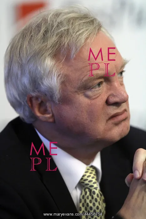 : David Davis MP : David Davis MP