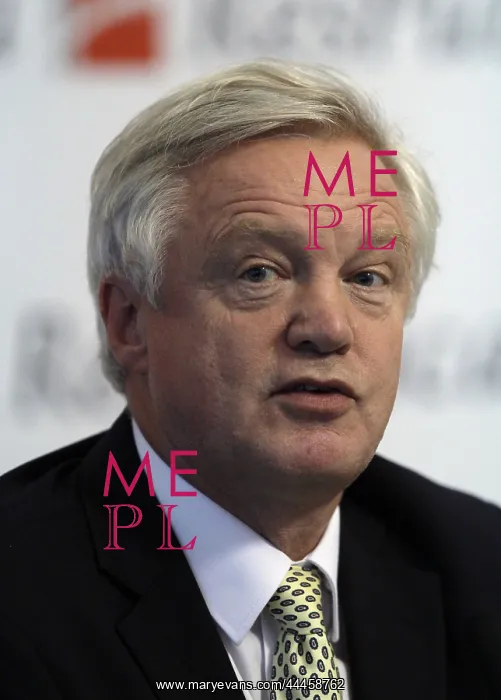: David Davis MP : David Davis MP