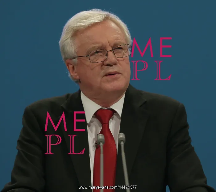 : David Davis MP : David Davis MP