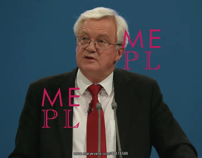 : David Davis MP : David Davis MP