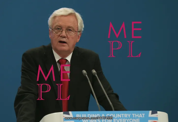 : David Davis MP : David Davis MP