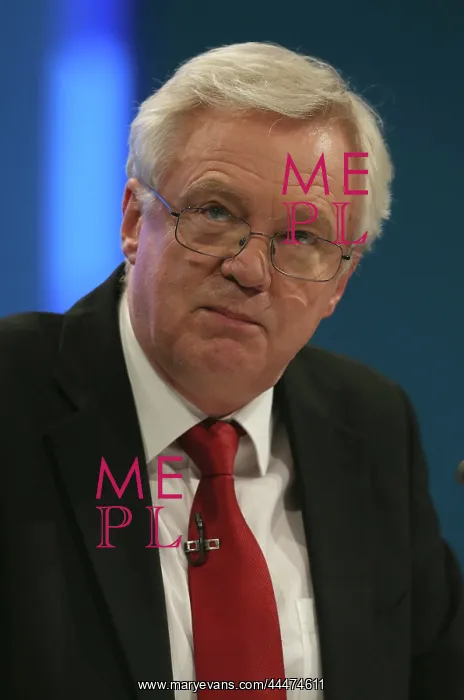 : David Davis MP : David Davis MP