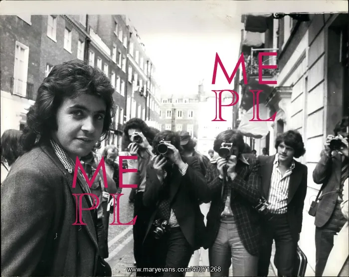 : David Essex : David Essex