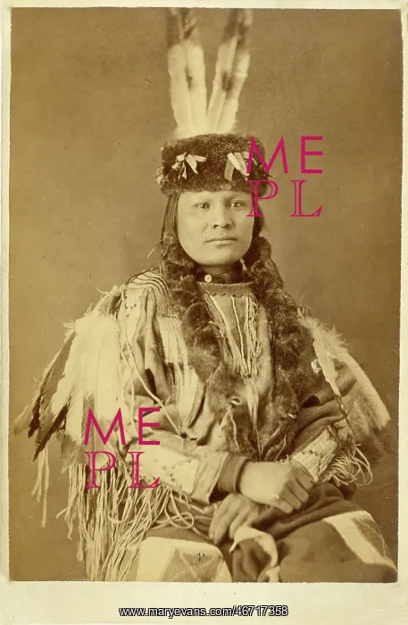 : David Frances Barry photo - Brave Bear : David Frances Barry photo - Brave Bear