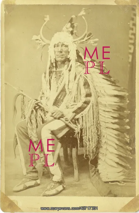  : David Frances Barry photo - Chief Rushing War Eagle