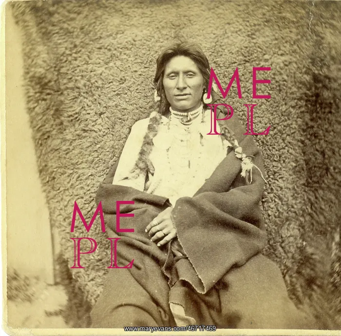 : David Frances Barry photo - Wolf Chief : David Frances Barry photo - Wolf Chief
