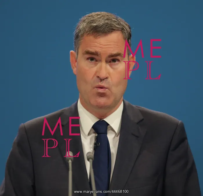 : David Gauke MP : David Gauke MP